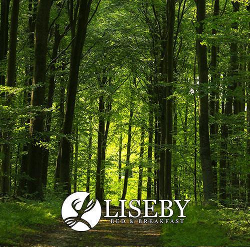 Liseby Bed & Breakfast Stege Exterior photo